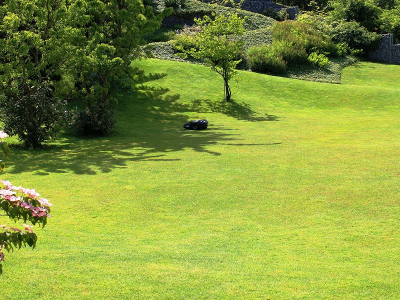 Rasenflächen - Gartengestaltung Koch